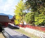 厳島神社の紅葉