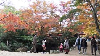 紅葉茶屋