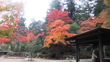 四宮神社8