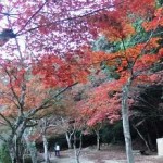 奥紅葉谷公園