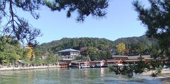 厳島神社が気になります