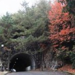 網の浦隧道
