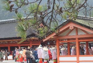 厳島神社参拝